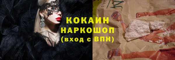 гашик Алексеевка