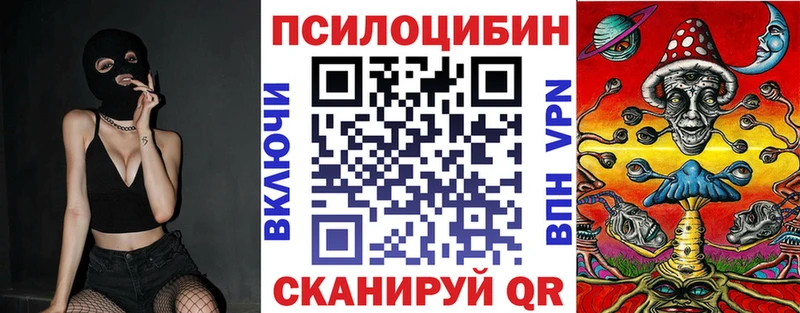 Галлюциногенные грибы мицелий  гидра ТОР  Мытищи  цена наркотик 